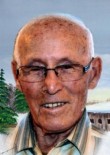 Albert Brault