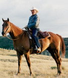 Stewart C. Archibald