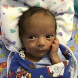 Jackson Russell Felix Magne