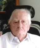 Remmelt (Ron) Schelhaas