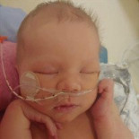 Easton John Peterson