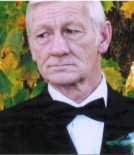 Lemie Hendrikus Vrieze