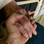 Harry Frederick Terhune