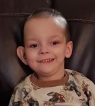 Sean Bliss Martin Purnell O'Connell