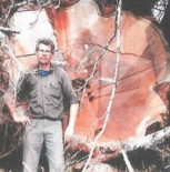 Brian Alexander Strang