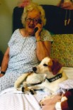 Patricia Daphne Harris