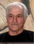 Georges Brisebois