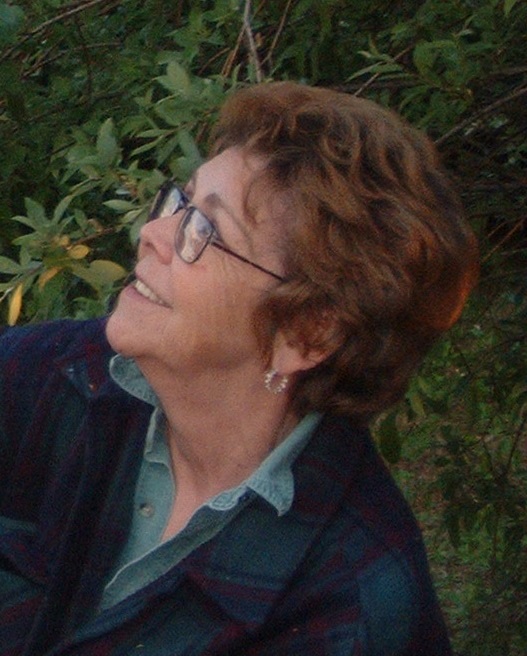 Diana Claire Rizzoli